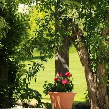 Charming 2 Bedroom With Private Pool * Villefranche-dʼAlbigeois